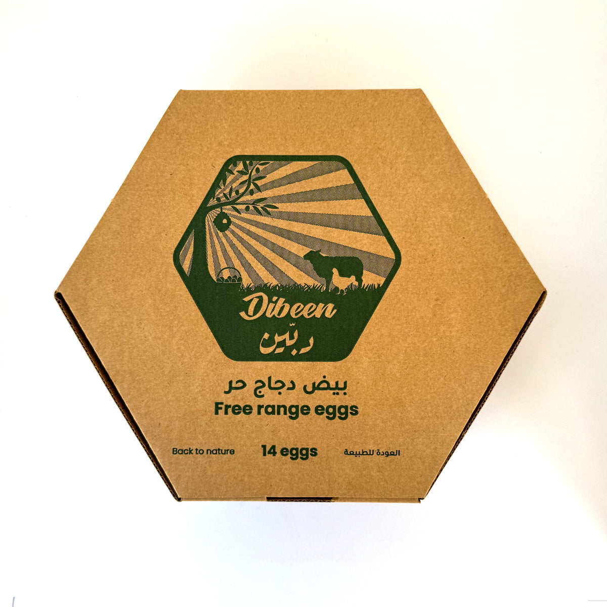 Free Range Eggs 14 pack