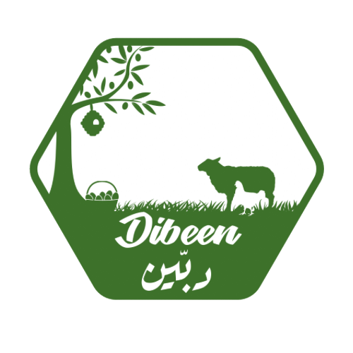 Dibeen